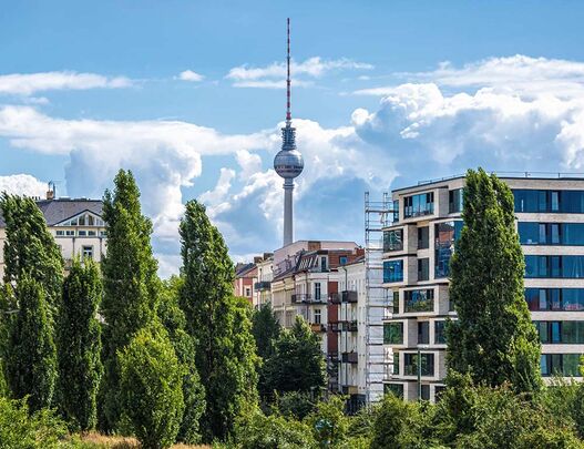Blick über Bäume und Wohnhäuser auf den Berliner Fernsehturm