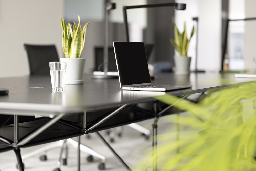 Coworking-Arbeitsplatz mit Laptop und Pflanzen im Office Club