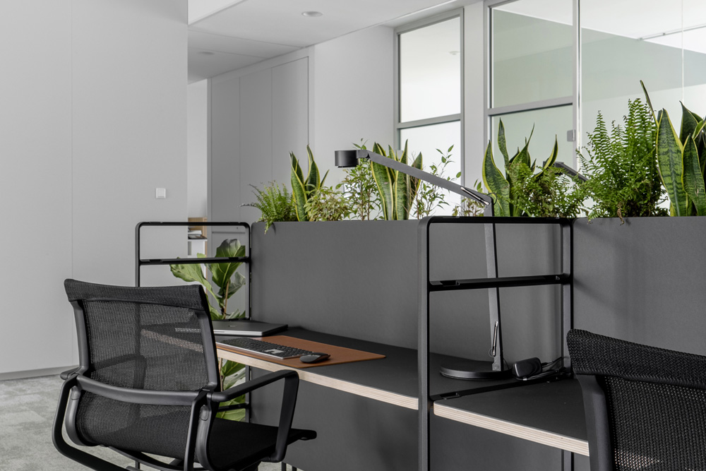 Hot Desks mit schwarzen Bürostühlen und bepflanztem Regal-Raumteiler im Office Club Düsseldorf