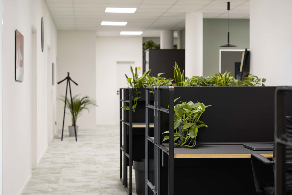 Open Space mit Arbeitsplätzen und bepflanzten Raumteilern im Office Club Hannover