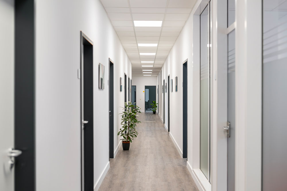 Langer heller Flur mit Pflanze im Office Club Nürnberg