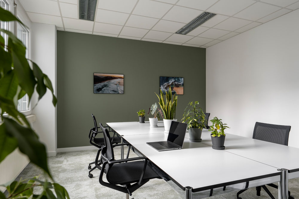 Coworking-Tisch mit schwarzen Stühlen und Pflanzen vor grüner Wand im Office Club Nürnberg